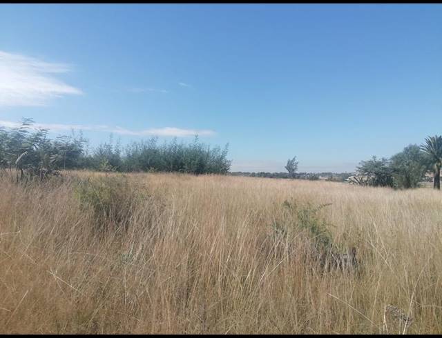 LAND FOR SALE IN WALKERVILLE CENTRAL